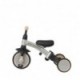 Tricicleta evolutiva pliabila Qplay STAGER Argintiu