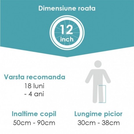 Balance Bike Qplay Racer Platinum