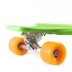 Longboard Nils LB-P3609 40''